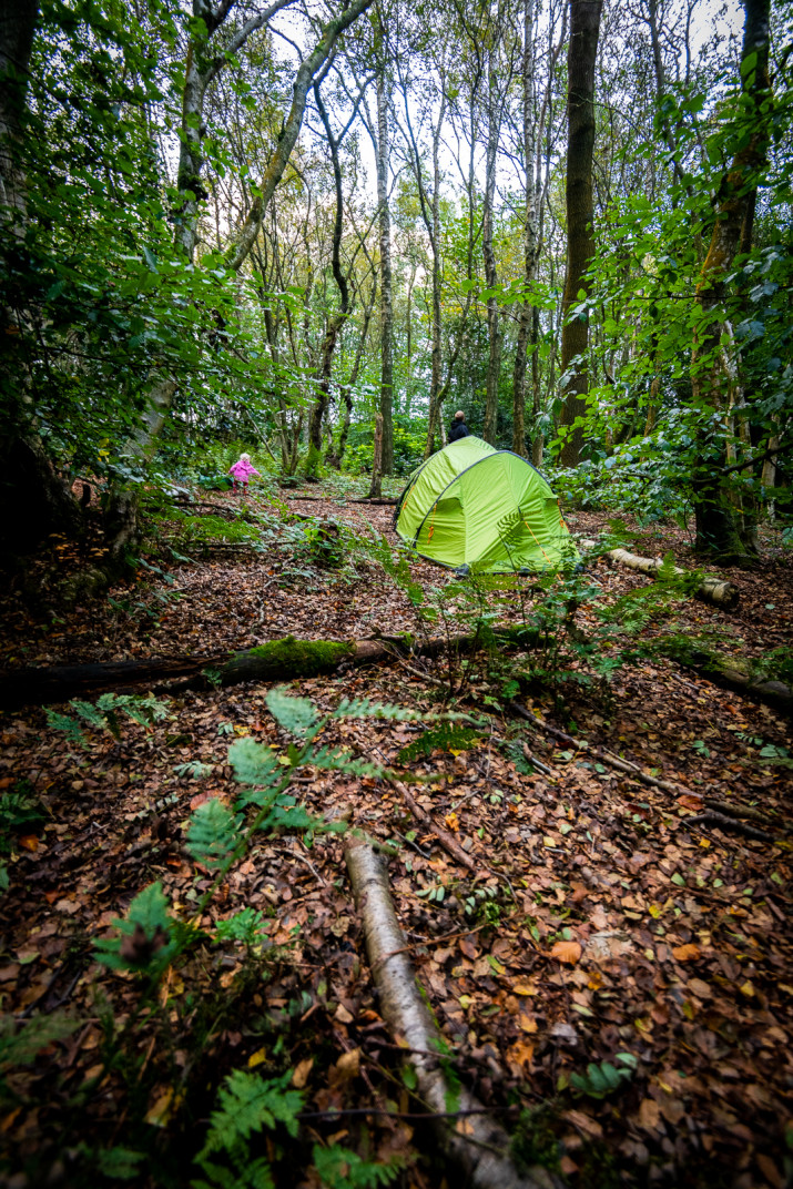 Small tent in the woods