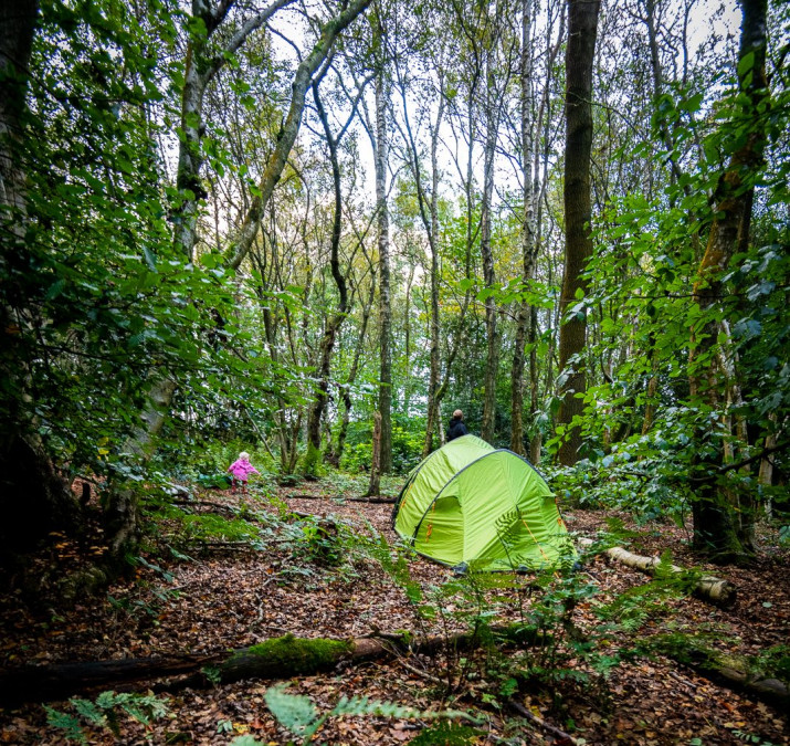 Small tent in the woods